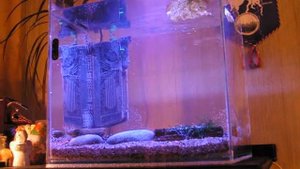 Запуск  нано аквариума на 25 литров часть 1