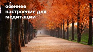 Красивый осенний лес Расслабляющая музыка для души и медитации, йоги, сна