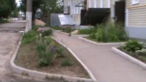 помощь природе