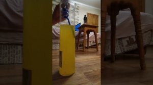 Пью 3 бутылки в кувшине и потом заболел живот часть 1