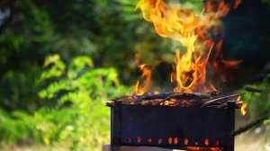 Значение огня в жизни человека кратко