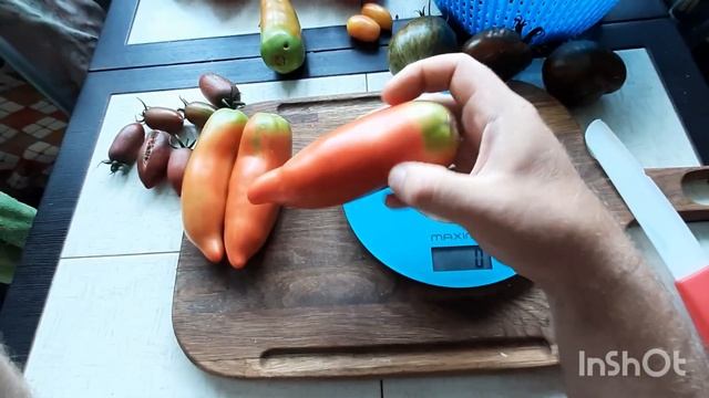 томат Корнабель F1 - обзор и дегустация смотреть онлайн