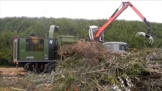 PTH 1200 1000 M Pezzolato Drum chipper смотреть онлайн