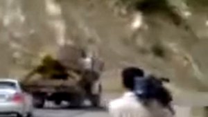 В Таджикистан нашли гигантский черепаху