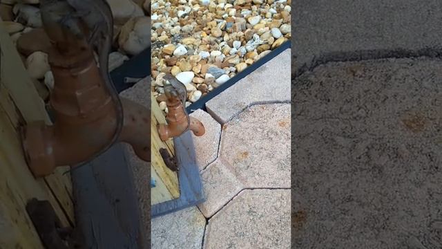 Miss Priss-the assistant, part 1 смотреть онлайн