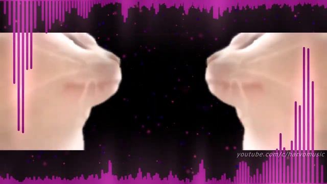 I made a beat with cat noises. (cat meow rap meme original song) смотреть онлайн