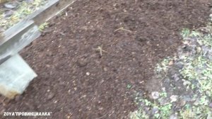 Малина в МАРТЕ/ Мульчирование/ Конская подстилка/ Обрезка/ #raspberry #spring