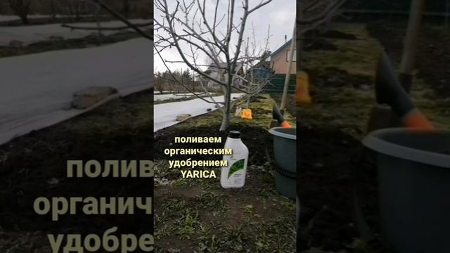 Отзывы покупателей: органическое удобрение YARICA сочетается с любыми минеральными удобрениями. смотреть онлайн