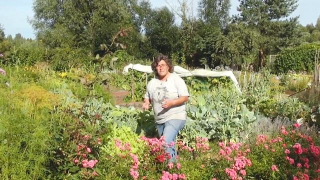Ландшафтный дизайн садового участка. В гостях у Елены Смирновой.