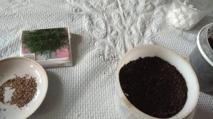 Как вырастить укроп дома на подоконнике