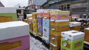 зимовка пчел в холодном гараже или помещении - на что обратить внимание и подобрать лучший вариант