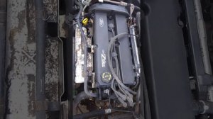 Работа двигателя 2.0 zetek e efi на Форд Мондео 2.