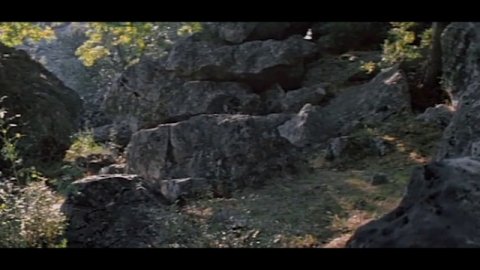 Огонь, вода ... и медные трубы (1967)