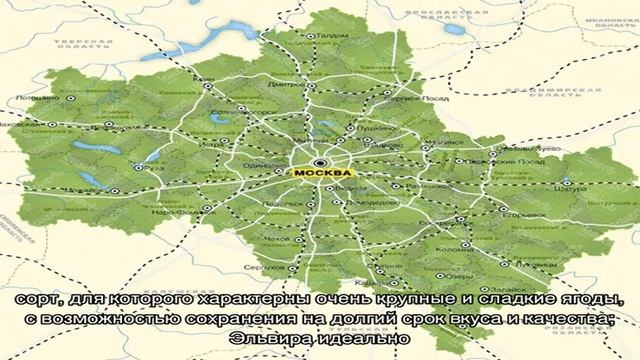Лучшие сорта клубники для Подмосковья смотреть онлайн