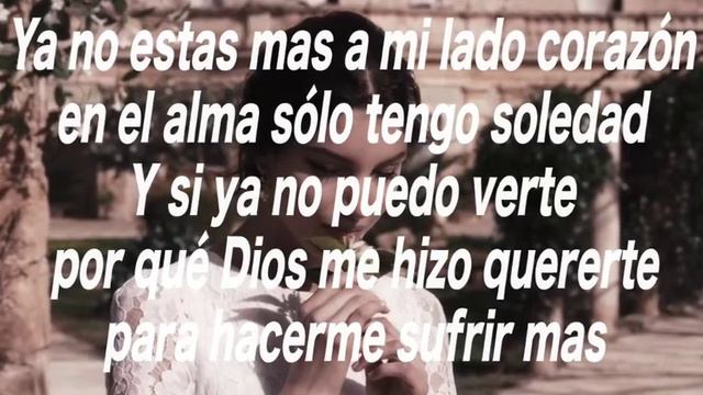 Historia de un amor base Magal