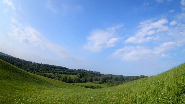 Начинает спеть полевая ягода// Жизнь в деревне