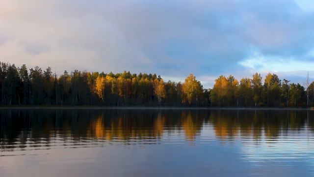 Рыбалка, ловля ЩУКИ, спиннинг и красивые броски / Pike fishing, nice shoots смотреть онлайн