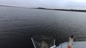 Ловля щуки в январе  на спиннинг. Рыбалка на окуня и щуку зимой с лодки.