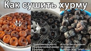 Как сушить хурму. Сушеная хурма. Сушилка ВолТера "ЭЛИТ-1000". Польза и вред хурмы. Вяленая хурма.