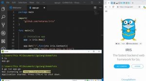 Golang - Iris Web Framework Tutorial - Getting Started & Basic App