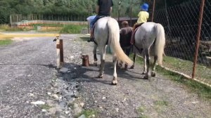 Порог Неба. База отдыха в Северной Осетии. Caucasus Mountains.