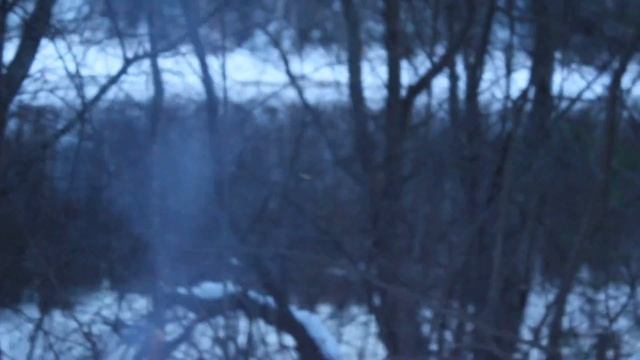 Величайшие истины—самые простые.Самая чистая радость, радость природы. Л.Толстой. смотреть онлайн