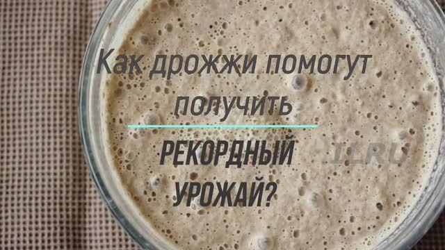 Подкормка