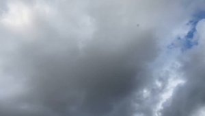 Гон голубей у Салиха Яхъяева. Репортаж Запира Гадисова. Bakı göyərçinlər.