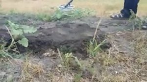 ГРУНТОВЫЕ И ВОЗДУШНЫЕ ТЕСТы на МОНЕТЫ.АКА Сигнум