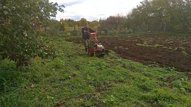 ОСЕННЯЯ ВСПАШКА 2019 мотоблоком АГАТ. AUTUMN PLOWING 2019. the tillers AGATE смотреть онлайн