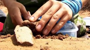 Допотопная история финал