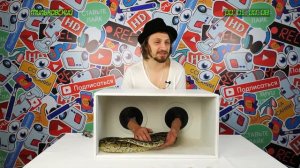 КАЖЕТСЯ, НАЩУПАЛ #9  Гурам, Влади и Хамиль Каста, Алина Солопова, Женя Мильковский Нервы