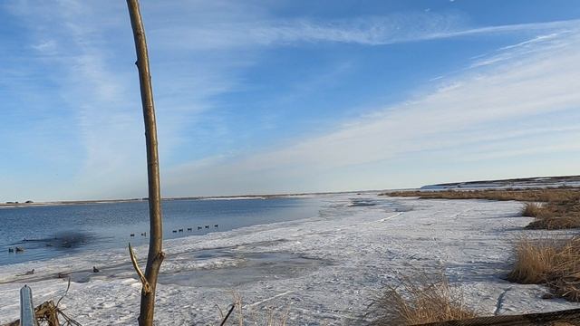 Камчатка, весенняя охота на селезня 23.