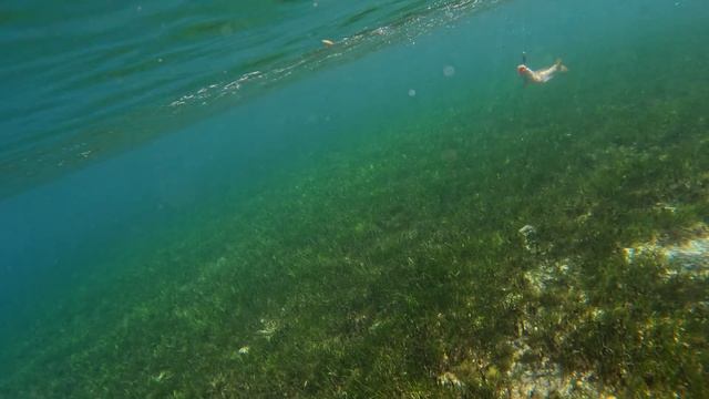 Эта рыба просто так не сдаётся┃Рыбалка на Бали смотреть онлайн