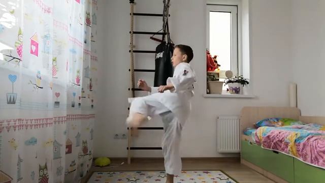 Долио чаги со стойки нинча соги