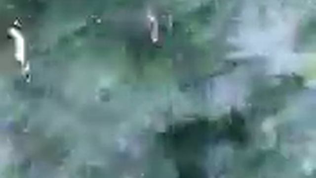 UFO; НЛО и религия "Боги"! (Анатолий Русу) смотреть онлайн