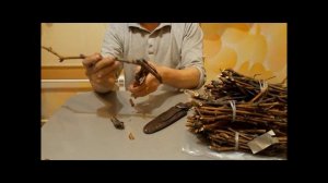 Нарезка виноградных черенков