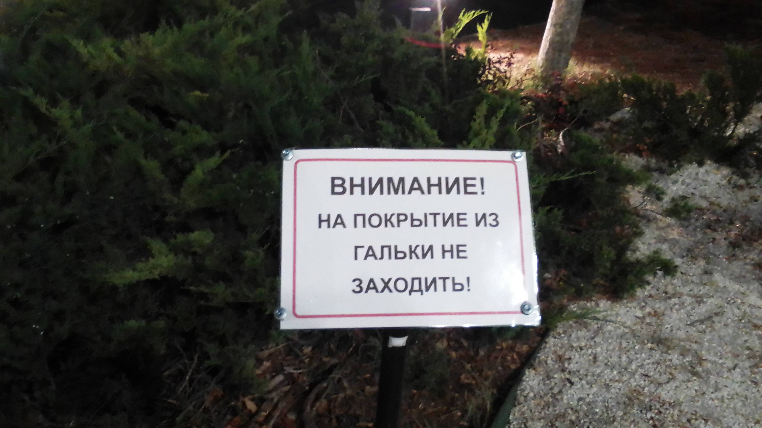 В чём проблема жизни в социуме