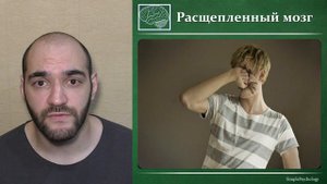 Когнитивная психология воли #75. Расщепленный мозг в экспериментах Сперри и свобода воли