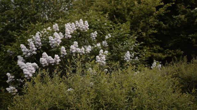 Gender party (Гендер пати) для двоих // POLOTNO смотреть онлайн