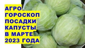 Агрогороскоп посева семян капусты на рассаду в марте 2023 года. Посадка капусти в березні 2023 року