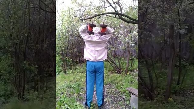 Комплекс с гантелями 17кг смотреть онлайн