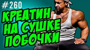 креатин на сушке . побочные эффекты креатина