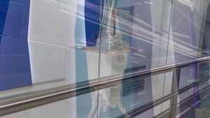 Станция метро Зенит | Метро Санкт-Петербурга