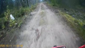 покатушки Irbis TTR 250,Иж планета 5, Wels 140, часть 1