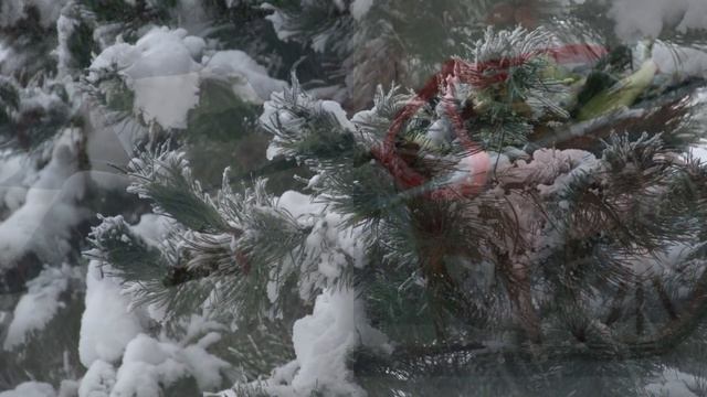 2 декабря. Народный праздник - Авдеев день. Народные приметы.