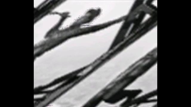 RG150121 044 На Винзаводе открылась выставка, посвященная