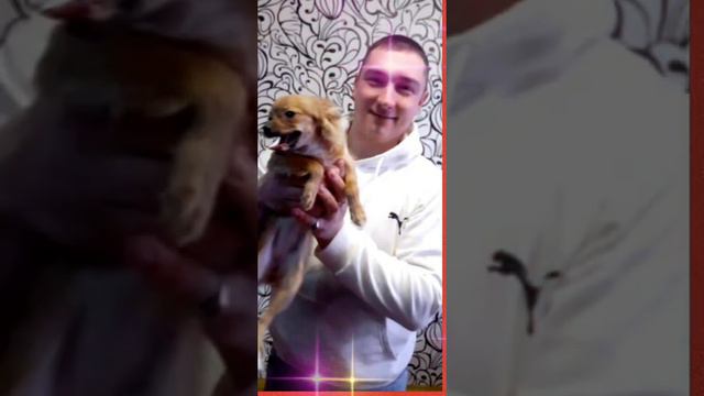 НИКИТА 😎 #никита #деньрождения #викаворонина смотреть онлайн