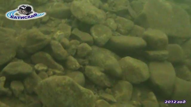 2012. Риддер. ВИДЕО и фото. смотреть онлайн