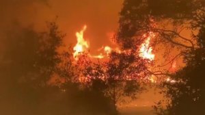 Сильнейшие природные пожары бушуют в США